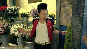Please, GD, kajima!
