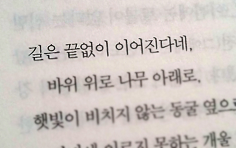 the road goes on quote focused